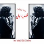 دانلود آهنگ رضا یزدانی قلب یخی