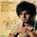 دانلود آهنگ احسان تهرانچی نمیدونستم