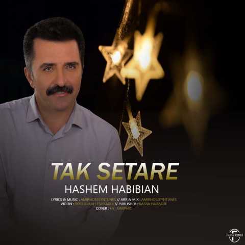 دانلود آهنگ هاشم حبیبیان تک ستاره دانلود آهنگ هاشم حبیبیان تک ستاره