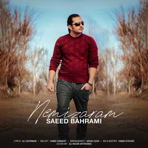 دانلود آهنگ سعید بهرامی نمیزارم